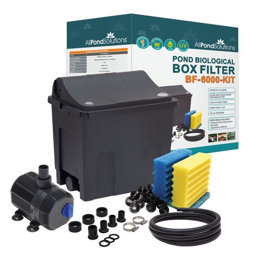 Small box fish pond - box,